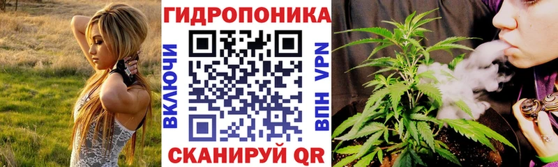 ГАШИШ Куртамыш